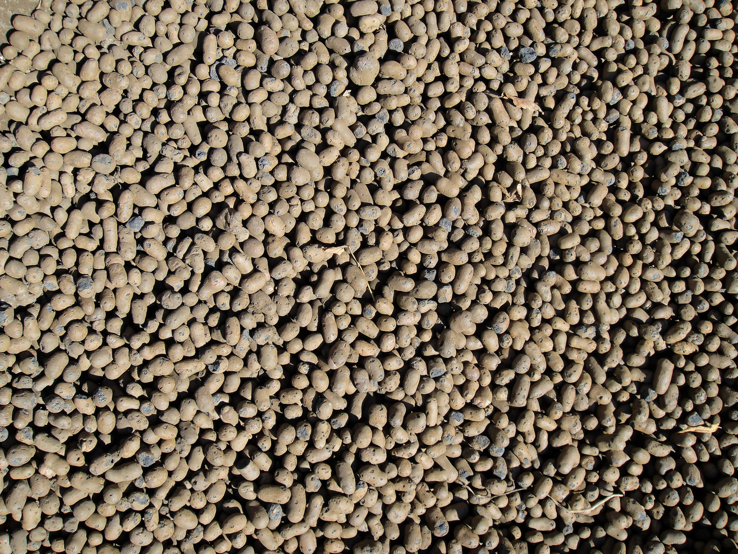 <span style="font-weight: bold;">Керамзит россыпь 10-20</span> 