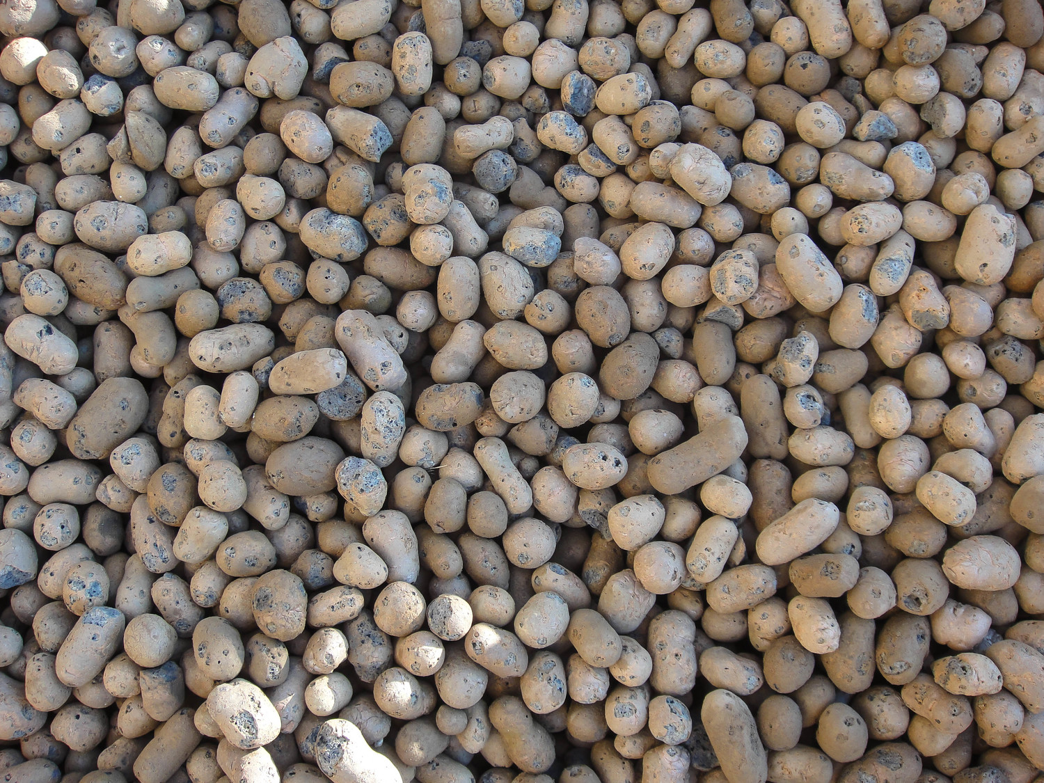 <span style="font-weight: bold;">Керамзит россыпью 20-40 </span>